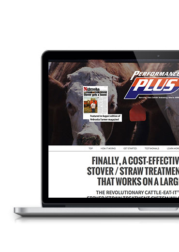 project-performanceplus